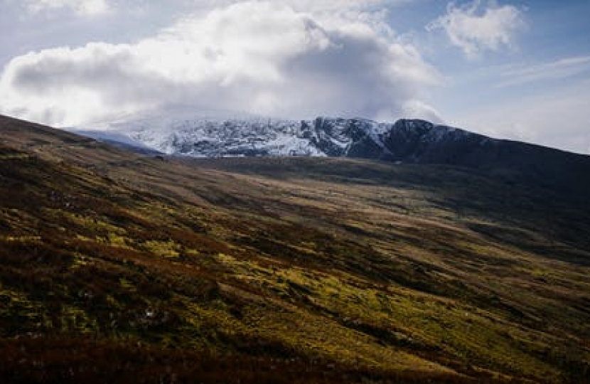 THE Assembly Government was today accused of neglecting the Welsh tourism industry after figures revealed Wales' share of domestic and international markets has fallen since 1999.