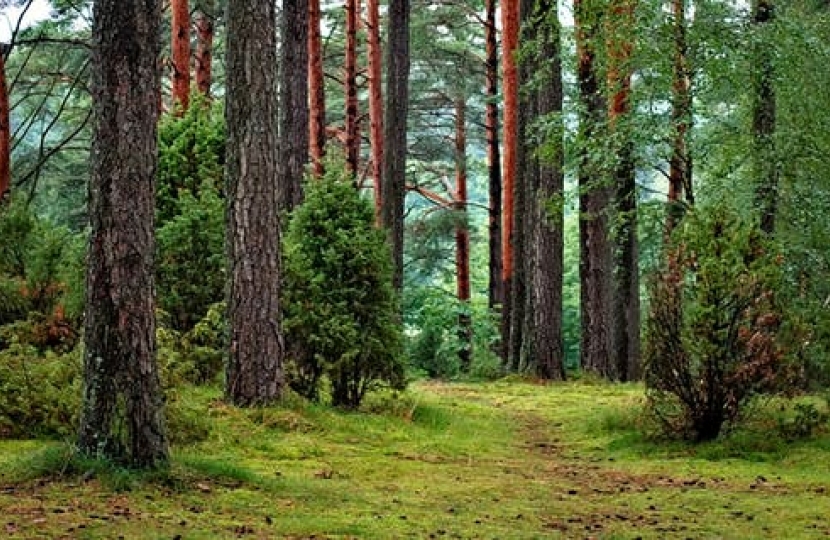 Residents angry that a "community" woodland was bought with half a million pounds of public money are holding a public meeting to discuss the issue.