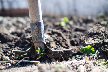 Farming Photo