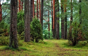 Residents angry that a "community" woodland was bought with half a million pounds of public money are holding a public meeting to discuss the issue.